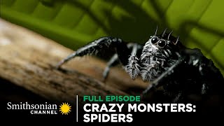 Crazy Monsters Spiders 🕷️ FULL EPISODE  Smithsonian Channel [upl. by Kciwdahc]