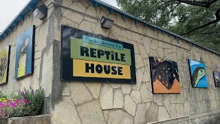 San Antonio Zoo Reptile House [upl. by Sihonn156]