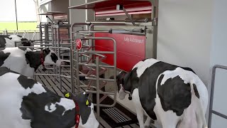 Lely Astronaut A5  The art of milking  kurze Version  DE [upl. by Jeffers]