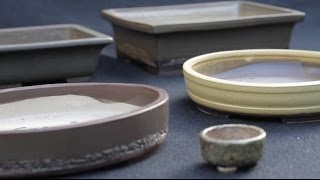 Bonsai pots [upl. by Standford]