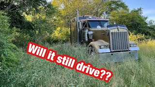 WILL IT START KW900 sitting 2 Years Drives Away from Grave [upl. by Jaclyn]