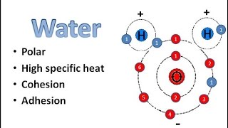 Water Chemistry [upl. by Ecnadnak]