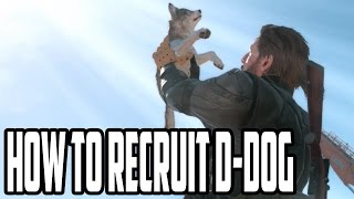 Metal Gear Solid 5  How and Where To Find DDog  Most Adorable Buddy [upl. by Stalker534]