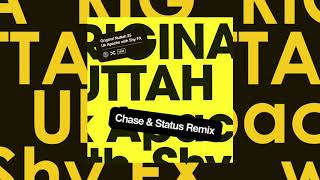 UK Apache with Shy FX Original Nuttah 25 Chase amp Status Remix Feat Irah [upl. by Anauqed]