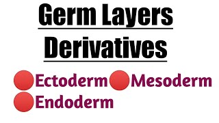 Germ Layers Derivatives  Ectoderm  Mesoderm  Endoderm [upl. by Edelsten]