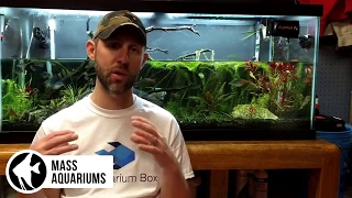 How to REMOVE NITRATES from your Aquarium 3 steps to Balance Nitrate levels in your Aquarium [upl. by Hogan588]