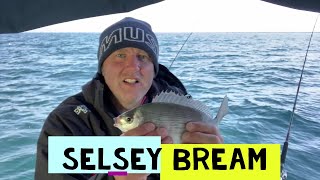 Selsey Bream [upl. by Nisior767]