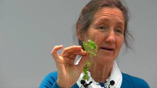 Barbara ONeill  Part 11 Herbs [upl. by Karrah]