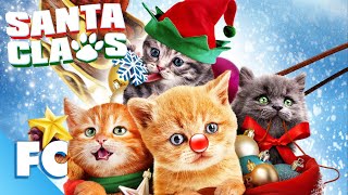 Santa Claws  Full Family Christmas Cat Movie  Family Central [upl. by Tess645]