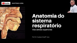 Anatomia do sistema respiratório vias aéreas superiores [upl. by Nitsew890]