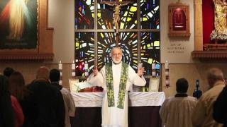 Sacraments 101 Holy Orders what ordination means [upl. by Anek]