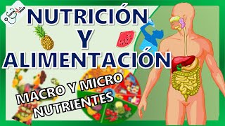 CONCEPTOS BÁSICOS DE NUTRICIÓN Y ALIMENTACIÓN  GuiaMed [upl. by Amikay130]