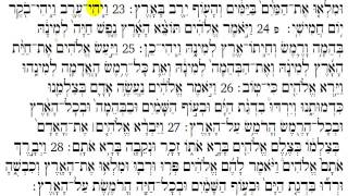 Torah Reading  Genesis Chapter 1 [upl. by Essa]