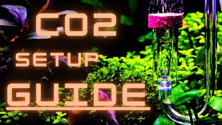 EVERYTHING YOU NEED TO KNOW TO SETUP A CO2 SYSTEM FOR YOUR AQUARIUM [upl. by Janenna]