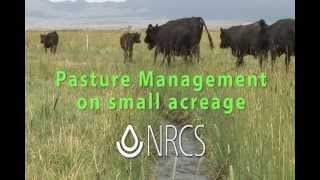 Small Pasture Management cc [upl. by Halihs]