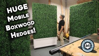 Making 5 HUGE Boxwood Hedges [upl. by Dnalkrik335]