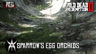 All sparrows egg Orchid Locations Red Dead Redemption 2 [upl. by Ellekram994]