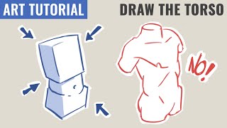 How to Draw the Torso  Simplify Anatomy [upl. by Alded99]