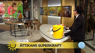 Marlene visar upp ättikans superkraft  Nyhetsmorgon TV4 [upl. by Nylyahs]