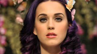 Katy Perry  Wide Awake Acoustic [upl. by Siocnarf192]