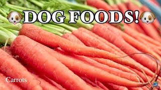 TOP 10 BEST FOODS FOR DOGS [upl. by Nylasoj576]