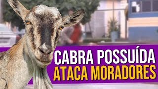 Narrando o Vídeo Cabra Possuída Ataca Moradores [upl. by Nauht896]