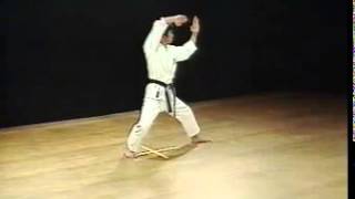 Heian Yondan  Shotokan SKIF  Hirokazu Kanazawa [upl. by Itsim]