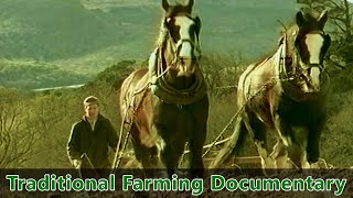 Traditional Farming Documentary  Farm life in Ireland during the 1930s  quotPreserving the Pastquot [upl. by Eiramanitsirhc268]