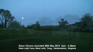 Birdsong Dawn Chorus England 26th May 2013 [upl. by Ealasaid]