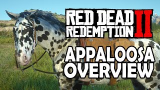 Appaloosa Overview  Red Dead Redemption 2 Horses [upl. by Colp]