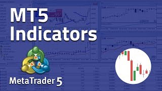 Using Indicators on MetaTrader 5 [upl. by Trellas]