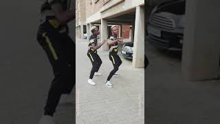 Limpopo Boy is unstoppable  2020 dance moves [upl. by Alrich]