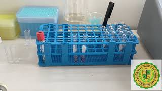 Glucose Measurment using Spectrophotometer [upl. by Irmo]