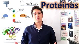 Proteínas y Aminoácidos UN MES DE CLASES EN 10 MINUTOS [upl. by Yrdua]