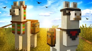 Everything You Need To Know About LLAMAS In Minecraft [upl. by Itida]