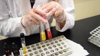 How to Inoculate amp Interpret a Nitrate Broth Tube  MCCC Microbiology [upl. by Germayne]