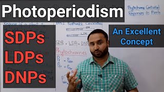 Photoperiodism  SDPs  LDPs  DNPs  Role of Phytochromes  Class 12 Biology [upl. by Dahs]