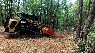 Clearing some land and forestry mulching [upl. by Irvine]