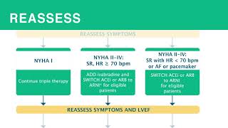 Heart Failure Treatment of HF with Reduced Ejection Fraction HFrEF [upl. by Ettenav]