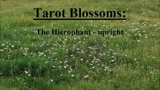 Tarot Blossoms The Hierophant  upright [upl. by Zul]