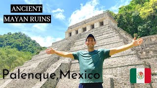 Palenque Mexico  The Secret Ancient Mayan Ruins of Mexico 🇲🇽 [upl. by Noble327]