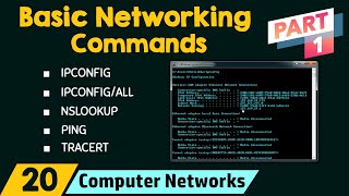 Basic Networking Commands Part 1 [upl. by Shoifet781]