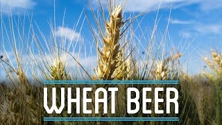 Wheat Beer from Scratch  How to Brew Everything [upl. by Naro]