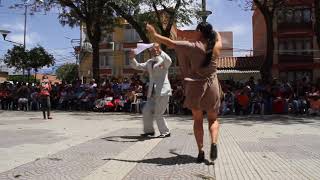 Cueca Chapaca Tarija  Bolivia 2017 [upl. by Etirugram]