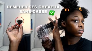 DÉMELER SES CHEVEUX CRÉPUS 4C FACILEMENT SANS CASSE [upl. by Comethuauc]