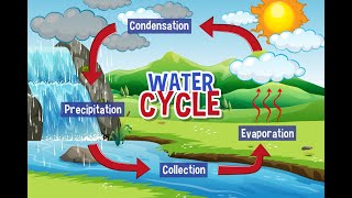 how the water cycle works  hydrological cycle explained [upl. by Michael]