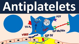 Antiplatelets  Pharmacology in easy way [upl. by Debora]