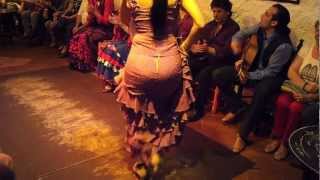 Flamenco Dance by Spanish Gypsies Part 1 [upl. by Wey]