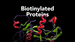 RampD Systems Biotinylated Proteins [upl. by Olraced]