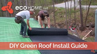 DIY living green roof installation [upl. by Emelin306]